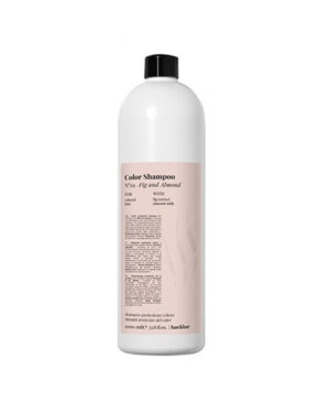 Pro Back Bar No1 Color Shampoo 1lt